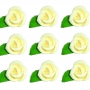 Róża zestaw R9(ecru) Średnica róży:5cm