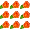 Róża zestaw R9(herbaciany) Średnica róży:5cm